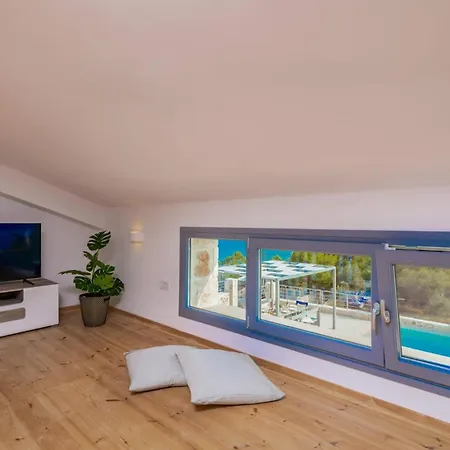 Delphini By Alikész